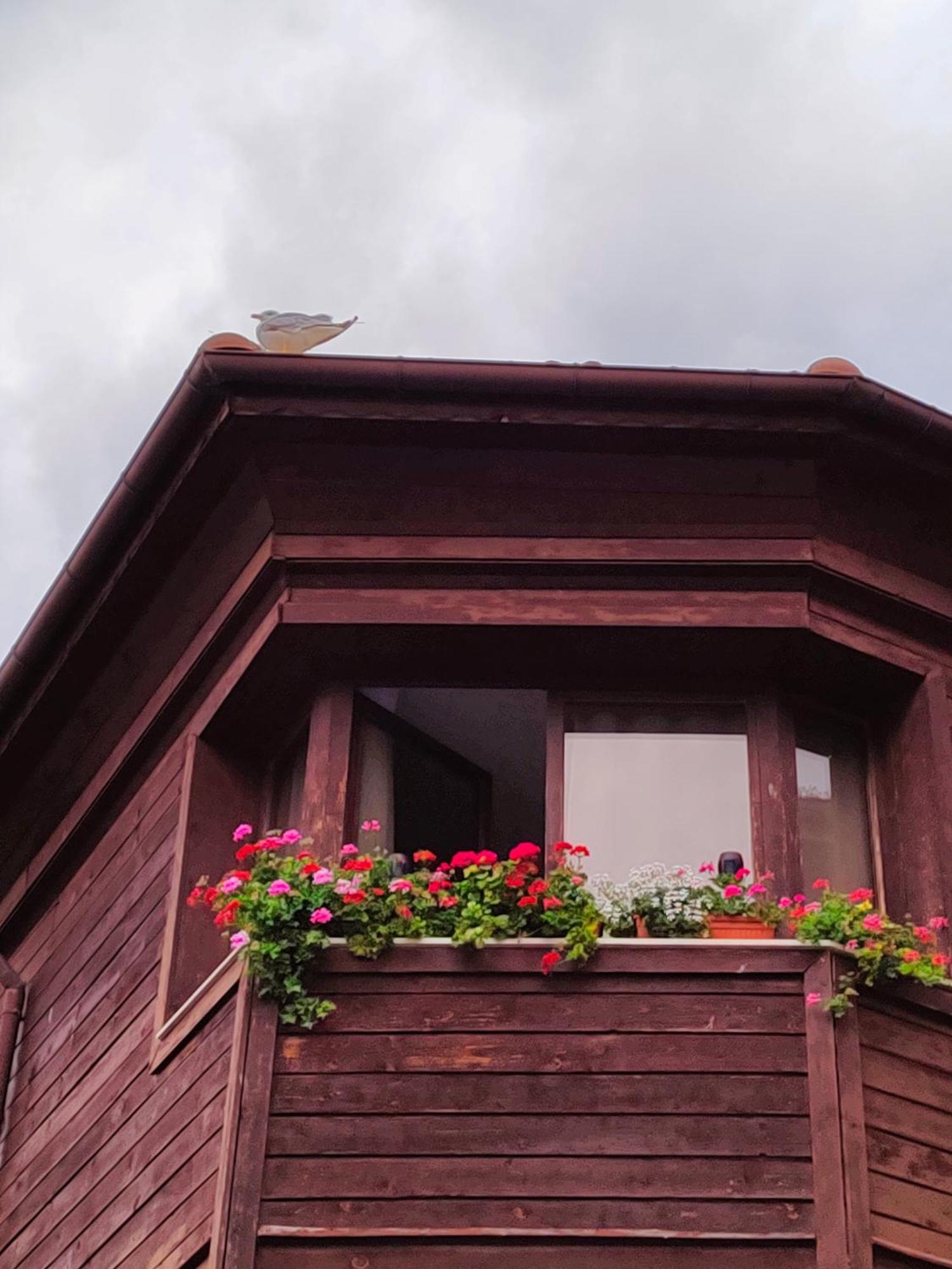 Guest Rooms Melsambria Nesebar Exterior foto